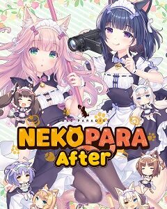 30 июнь. 2025
Adventure, Casual, Anime
ПираткаPC
2025NEKOPARA After