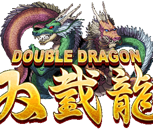 Double Dragon ROM & ISO