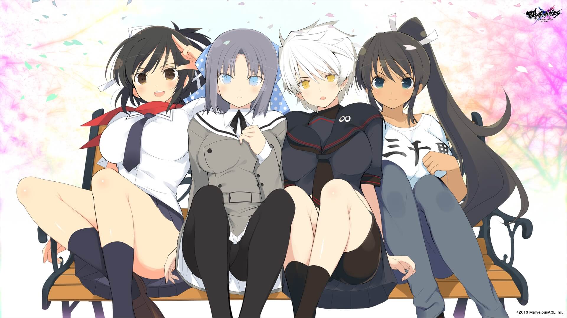 Senran-Kagura-Shinovi-Versus.jpg