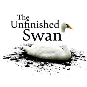 The Unfinished Swan ROM & VPK