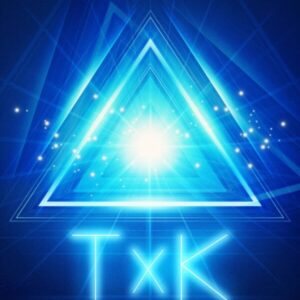 Llamasoft TxK ROM & VPK