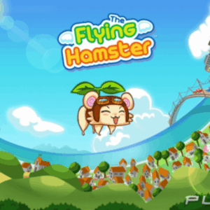 Flying Hamster HD ROM & VPK
