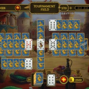 Knight Solitaire