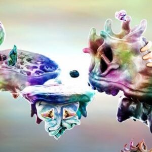 Wurroom ROM & VPK – PSVita Game