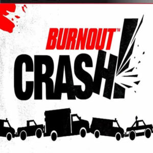 Burnout Crash!